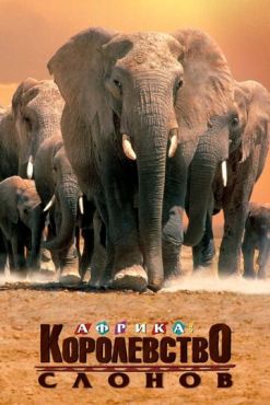 Африка — королевство слонов (1998) смотреть онлайн