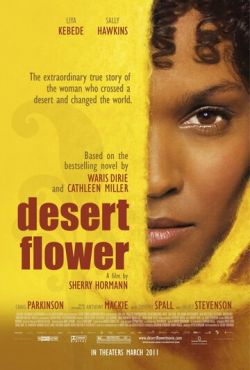 Цветок пустыни (2009) смотреть онлайн